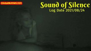 Sound of Silence Logdate210824