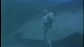 Caribbean Gils Underwater Scuba